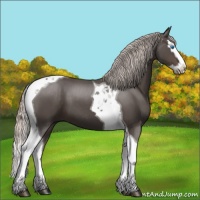 Horse Color:Silver Black Splash Tobiano 