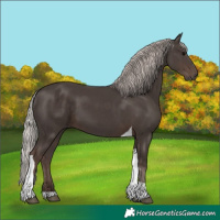 Horse Color:Silver Black Tobiano 