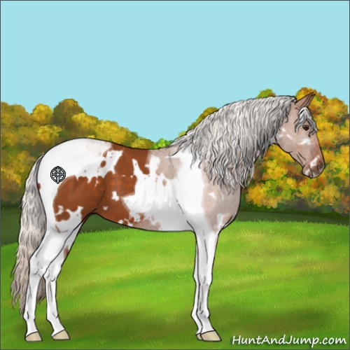 Horse Color:White Spotted Silver Buckskin Tobiano  and Buckskin Tobiano Appaloosa 