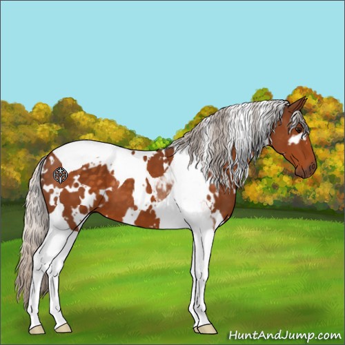 Horse Color:White Spotted Silver Buckskin Tobiano 
