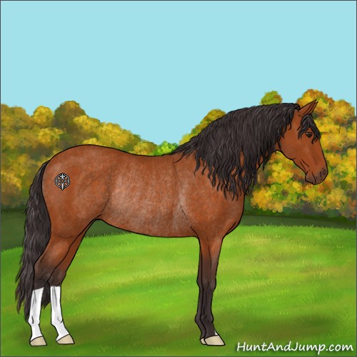 Horse Color:Buckskin Rabicano 