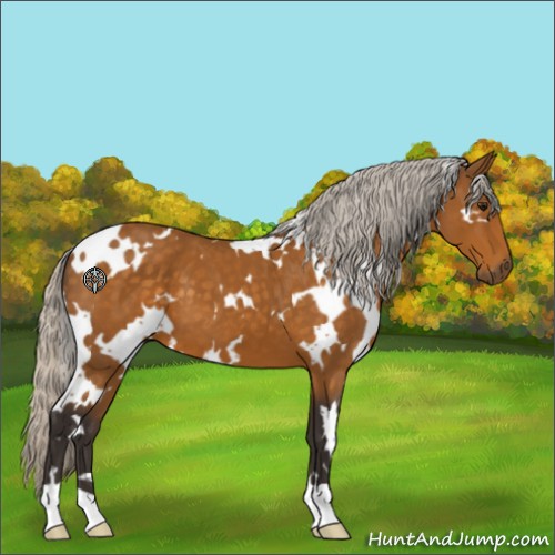 Horse Color:White Spotted Silver Buckskin 