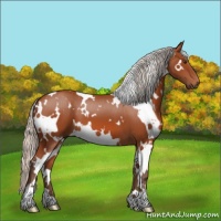 Horse Color:White Spotted Silver Brown