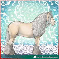 Horse Color:Silver Buckskin Pearl