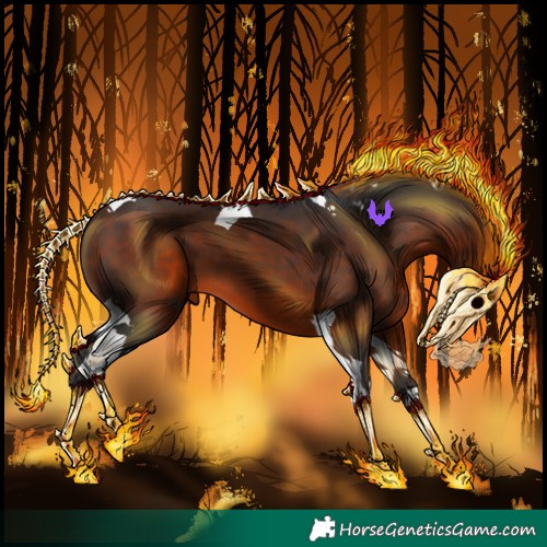 Horse Color:Bay Tobiano 