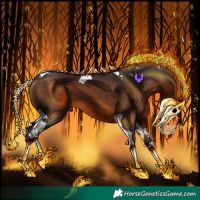 Horse Color:Bay Tobiano 