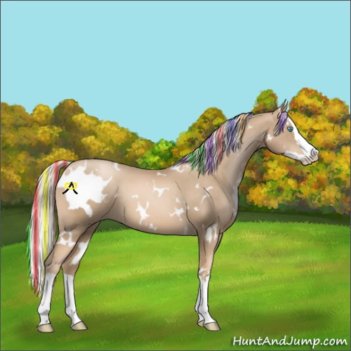 Horse Color:Painted White Spotted Chocolate Palomino Pearl Splash