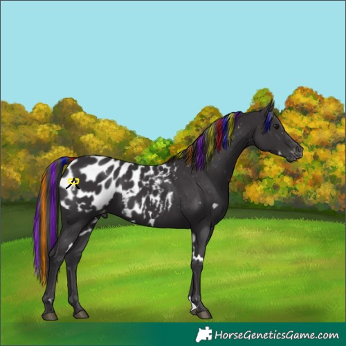 Horse Color:Painted White Spotted Smoky Black Blanket