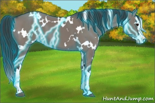 Horse Color:Thunderstruck White Spotted Grullo Splash 