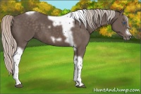Horse Color:Silver Black Tobiano Frame 