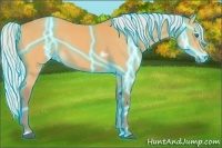 Horse Color:Thunderstruck White Spotted Silver Buckskin Frame 