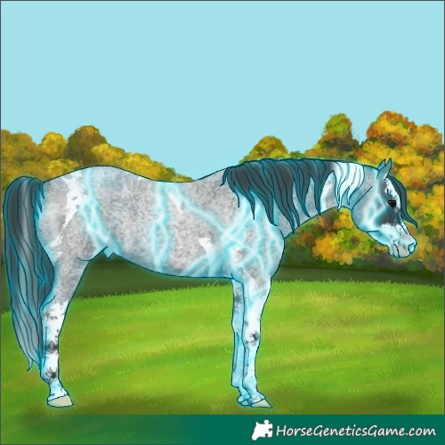 Horse Color:Thunderstruck Blue Roan Splash Tobiano Rabicano 