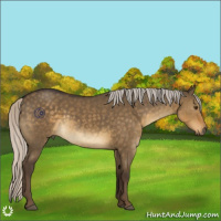 Horse Color:Silver Smoky Grullo Sabino