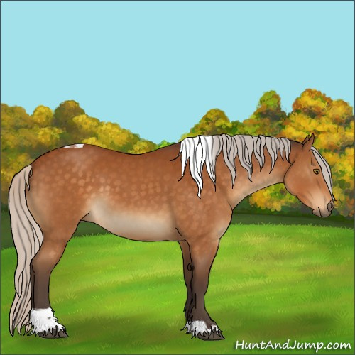 Horse Color:Silver Buckskin Tobiano
