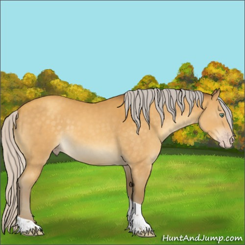 Horse Color:Silver Sable Cream Champagne Tobiano