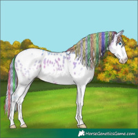 Horse Color:Painted Watercolor Brown Dun Sabino Splash Appaloosa 