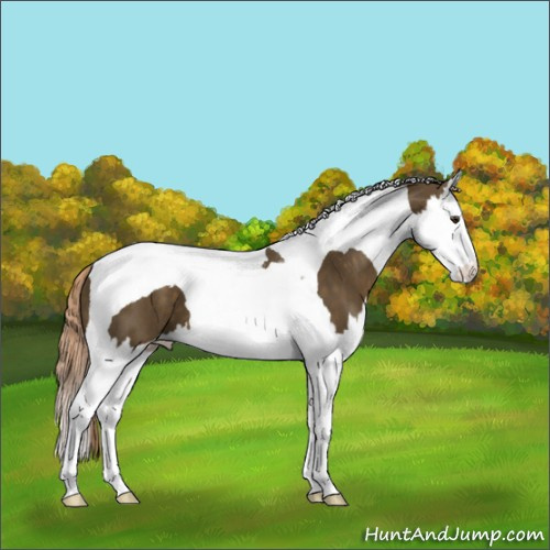 Horse Color:Chocolate Palomino Splash Tobiano 