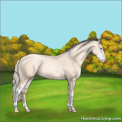 Horse Color:Gold Cream Champagne Pearl Sabino 