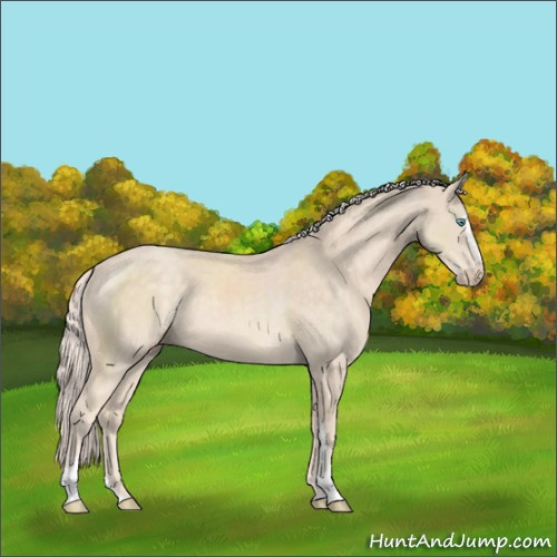 Horse Color:Cremello Sabino 