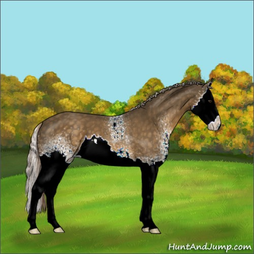 Horse Color:White Spotted Chocolate Palomino Splash 