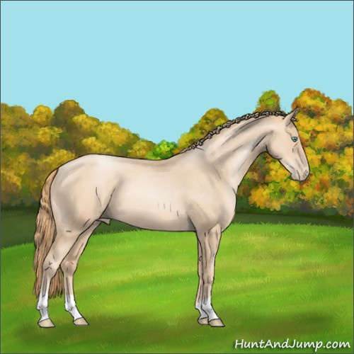 Horse Color:Gold Champagne Pearl 