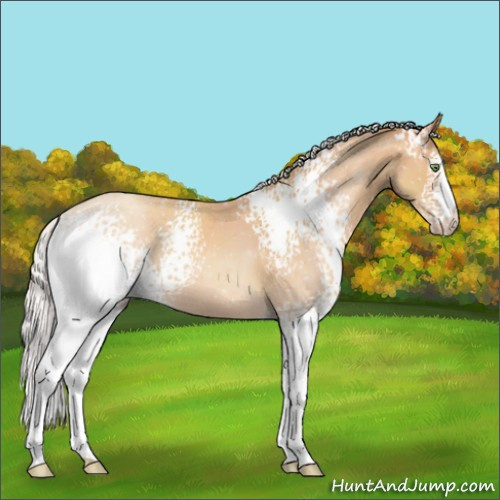 Horse Color:White Spotted Silver Amber Champagne 