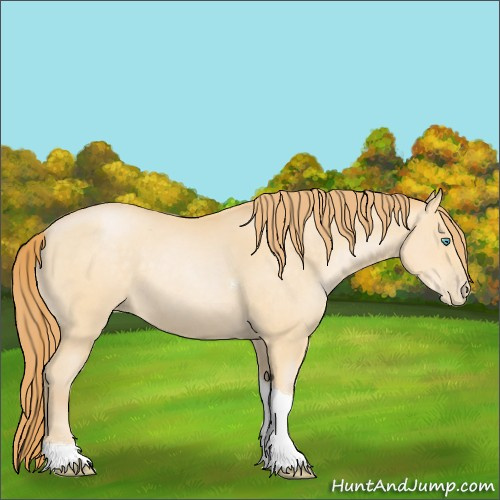 Horse Color:Buckskin Pearl Tobiano 
