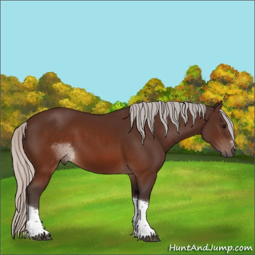 Horse Color:Silver Brown Sabino Tobiano Rabicano 