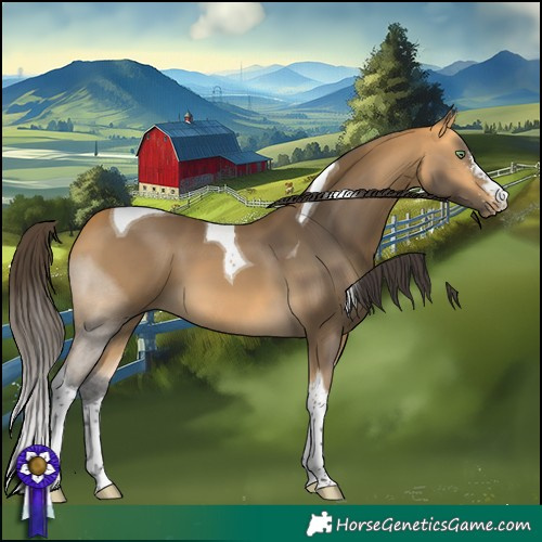Horse Color:Buckskin Sabino Tobiano 
