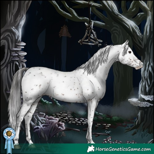 Horse Color:Brown Sabino