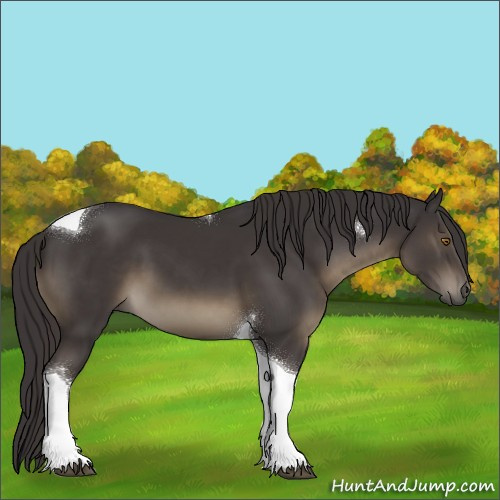Horse Color:Smoky Black Tobiano 