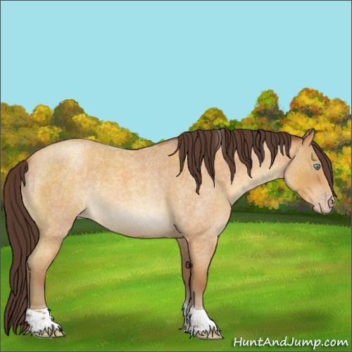 Horse Color:Sable Cream Champagne Roan Tobiano
