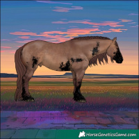 Horse Color:Void Chocolate Brown Dun Sabino