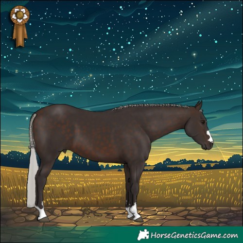 Horse Color:Silver Brown 