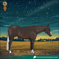 Horse Color:Silver Brown