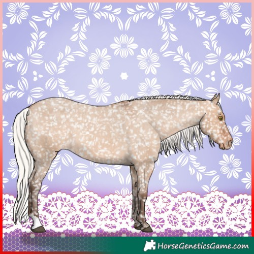 Horse Color:Silver Bay Roan Dun Snowflake VarnishRabicano 