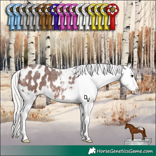 Horse Color:Silver Brown Roan Blanket Rabicano 