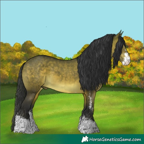 Horse Color:Brown Dun Sabino