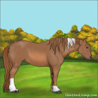 Horse Color:Chestnut Tobiano 