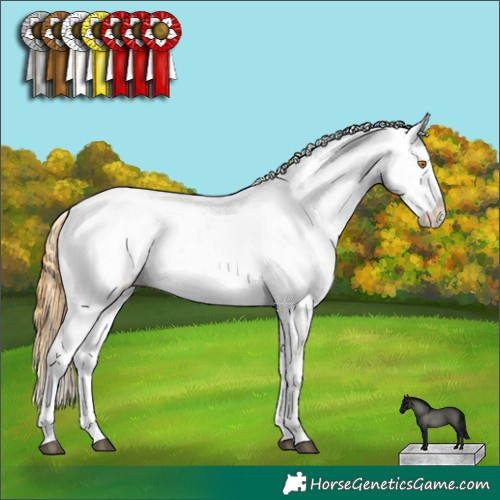 Horse Color:Buckskin Dun Appaloosa 