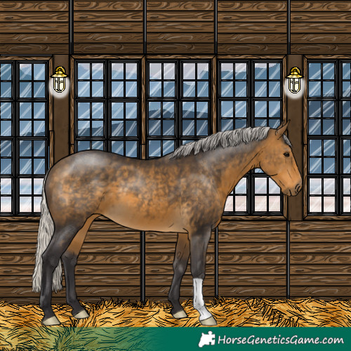 Horse Color:Silver Buckskin 