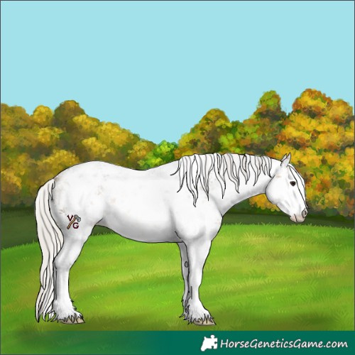 Horse Color:White Spotted Silver Buckskin Sabino 