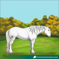 Horse Color:White Spotted Silver Buckskin Sabino 