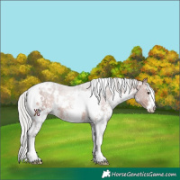 Horse Color:White Spotted Silver Brown Sabino 