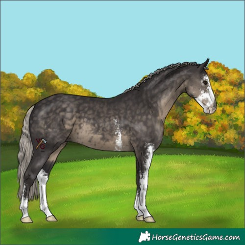Horse Color:Silver Smoky Black Sabino