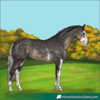 Horse Color:Silver Smoky Black Sabino 
