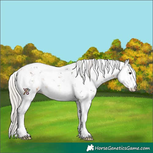 Horse Color:Silver Buckskin Sabino 