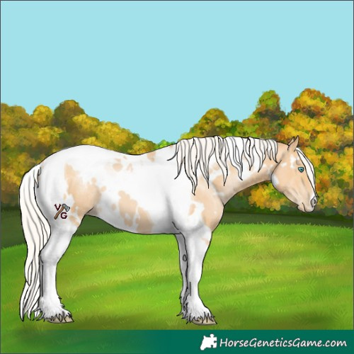 Horse Color:White Spotted Silver Buckskin Pearl Tobiano 