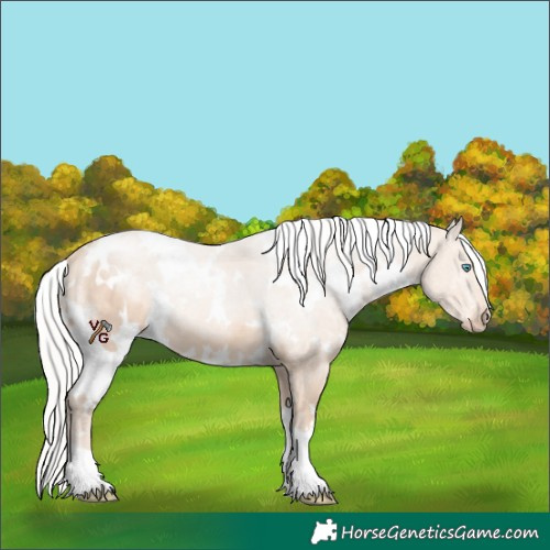 Horse Color:White Spotted Silver Perlino 