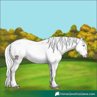 Horse Color:Watercolor Silver Buckskin Pearl Sabino
